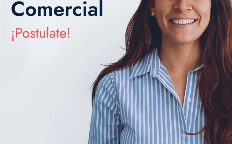 Ejecutivo/a Comercial – Soluciones, servicios y productos de Software